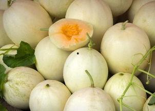 白兰瓜怎么切方便吃的视频,轻松美味，一学就会  第1张