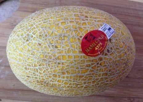 奶龙吃哈密瓜的视频,哈密瓜成新宠  第3张