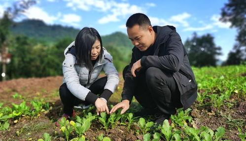 草坝镇吃瓜事件真相视频,揭秘真相背后的惊人内幕  第1张