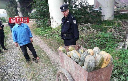 草坝镇吃瓜事件真相视频,揭秘真相背后的惊人内幕  第3张