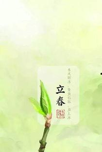 今日立春吃瓜视频图片,跟随视频探寻传统美食文化  第1张