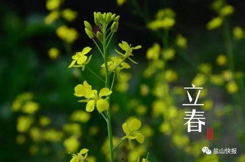 今日立春吃瓜视频图片,跟随视频探寻传统美食文化  第3张