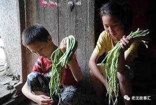 河南姐弟吃瓜视频大全集,揭秘网络热传的趣味瞬间 第1张 河南姐弟吃瓜视频大全集,揭秘网络热传的趣味瞬间 第1张