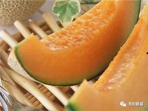 大汉吃哈密瓜视频,舌尖上的西域风情  第3张