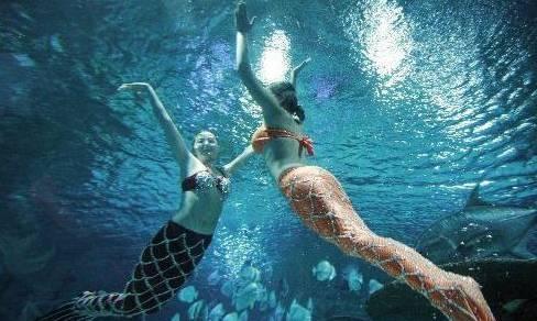 上海美人鱼吃瓜事件视频,网络热议的神秘视频揭秘 第3张 上海美人鱼吃瓜事件视频,网络热议的神秘视频揭秘 第3张