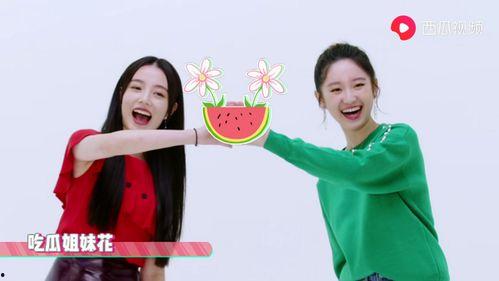 吃瓜爆料袁泉视频在线观看,吃瓜群众热议幕后花絮  第2张