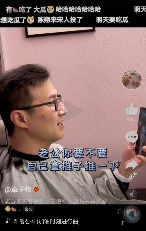 吃瓜视频大儿子,揭秘娱乐圈背后的故事  第1张