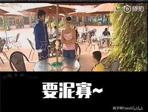 吃鸡雨女无瓜视频下载安装,一探究竟的下载安装攻略  第2张