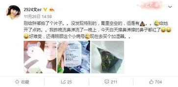 主播吃小胖瓜视频下载,视频下载见证美味瞬间 第2张 主播吃小胖瓜视频下载,视频下载见证美味瞬间 第2张