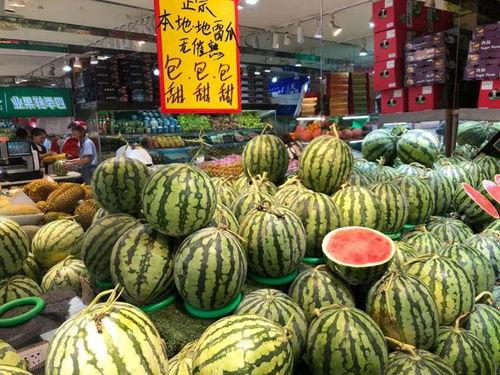 温州花店吃瓜视频,一场花店里的欢乐盛宴 第2张 温州花店吃瓜视频,一场花店里的欢乐盛宴 第2张