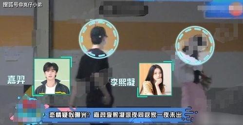 嘉羿吃瓜群众视频,揭秘娱乐圈幕后故事  第3张