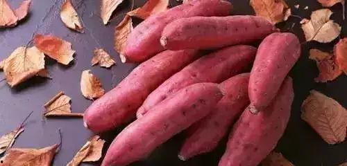 吃瓜还能吃地瓜吗视频,揭秘两者之间的奇妙关联  第2张