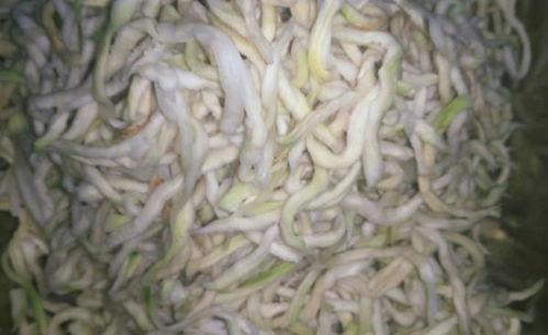 瓜丝怎么吃才好吃视频,轻松学会家常脆爽瓜丝制作  第2张