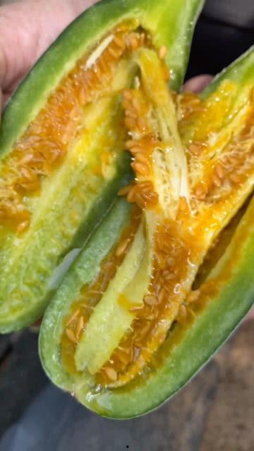 会吃瓜的作品有哪些呢视频,揭秘热门视频背后的趣味故事  第3张