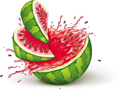 儿童吃瓜的视频大全,宝宝吃瓜视频大盘点 第3张 儿童吃瓜的视频大全,宝宝吃瓜视频大盘点 第3张