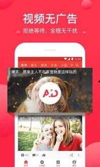 吃瓜八卦视频网站下载安装,下载安装攻略与热门八卦盘点 第2张 吃瓜八卦视频网站下载安装,下载安装攻略与热门八卦盘点 第2张