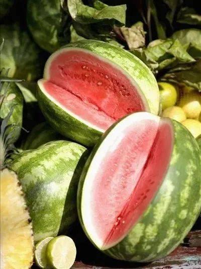 吃瓜1元视频,吃瓜界的秘密大公开 第2张 吃瓜1元视频,吃瓜界的秘密大公开 第2张