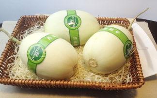 吃白玉瓜视频教程下载,轻松学会家常美味 第1张 吃白玉瓜视频教程下载,轻松学会家常美味 第1张