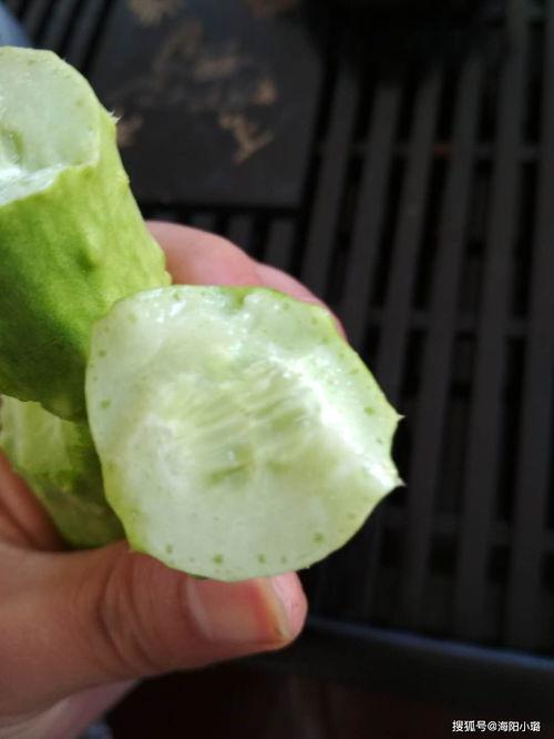吃白玉瓜视频教程下载,轻松学会家常美味 第2张 吃白玉瓜视频教程下载,轻松学会家常美味 第2张