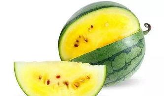 山东小瓜怎么吃最好吃视频,山东小瓜的多样美味吃法揭秘  第3张