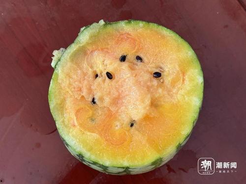 丽水网红吃瓜事件视频,一场网络狂欢背后的真相揭秘  第3张