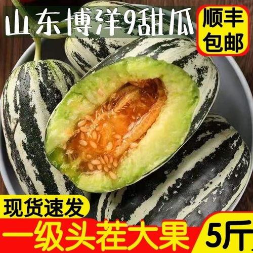 单县吃瓜视频,揭秘当地特色美食背后的故事 第3张 单县吃瓜视频,揭秘当地特色美食背后的故事 第3张