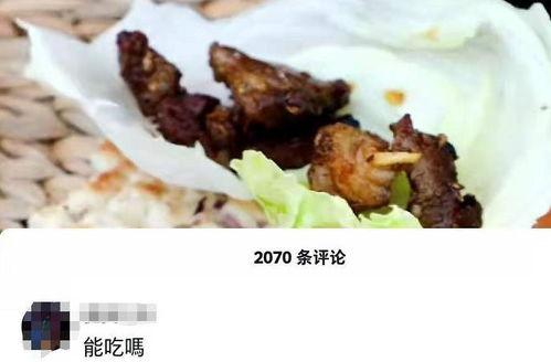 怎么用麻瓜做菜吃视频,跟随视频学做家常菜 第3张 怎么用麻瓜做菜吃视频,跟随视频学做家常菜 第3张