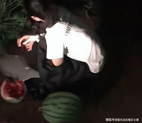 偷瓜吃的视频大全,视频大全里的欢乐瞬间 第2张 偷瓜吃的视频大全,视频大全里的欢乐瞬间 第2张