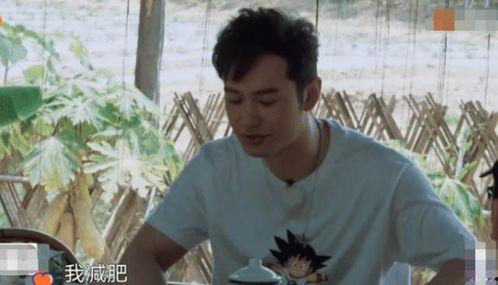 何老师黄磊吃瓜视频,娱乐圈幕后趣事大揭秘 第3张 何老师黄磊吃瓜视频,娱乐圈幕后趣事大揭秘 第3张