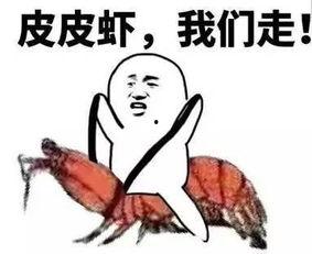 套路吃瓜的视频,揭秘网络视频背后的真相与技巧